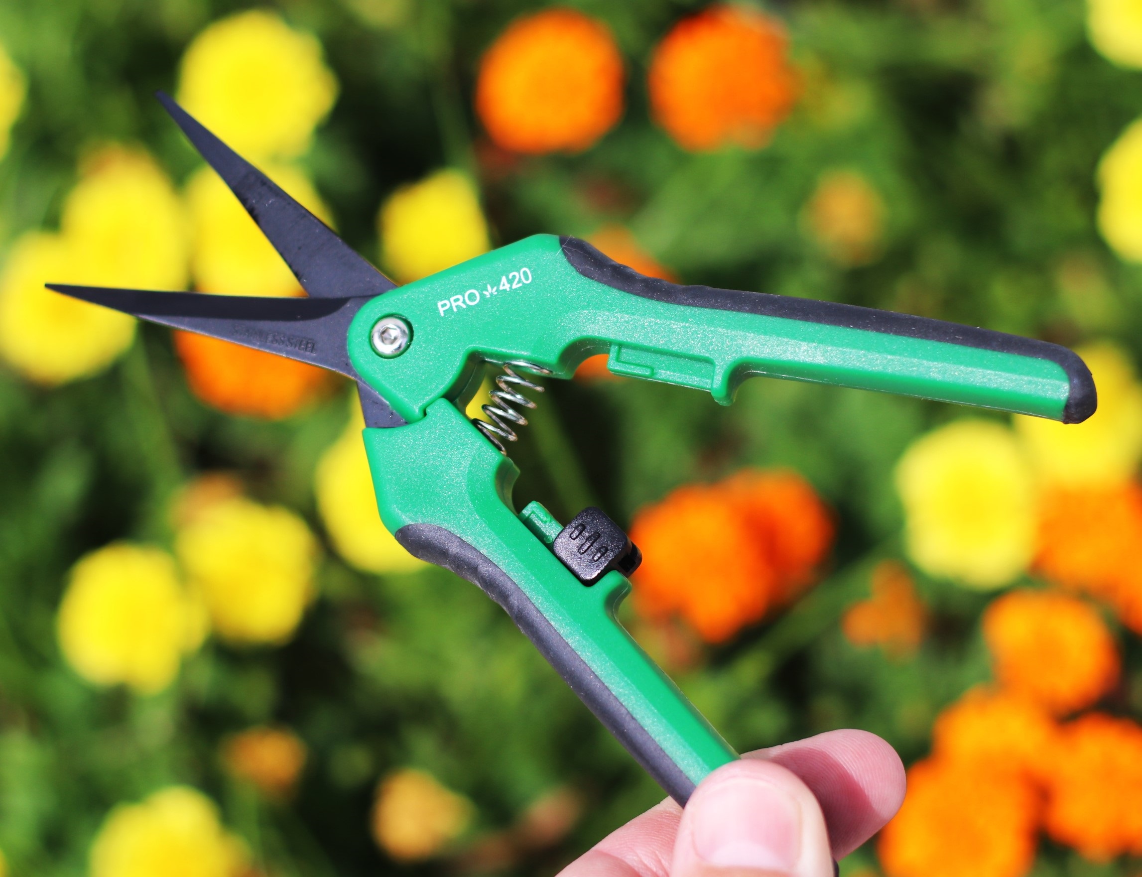 PRO 420 Scissors- 6 pack- Spring Loaded Professional Trimming Scissors for Cannabis - Cocobolo Dugout Gift Pack