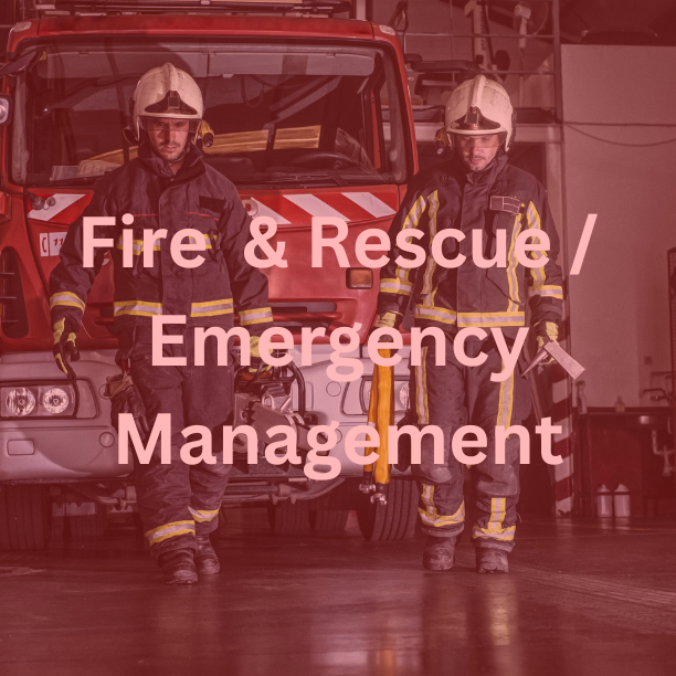 Fire Rescue Web Link