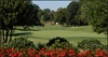 champ image 1506334