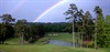 champ image 1509645