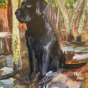 Black Lab 
