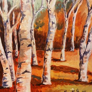 Trees in forest 