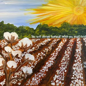 Cotton Field